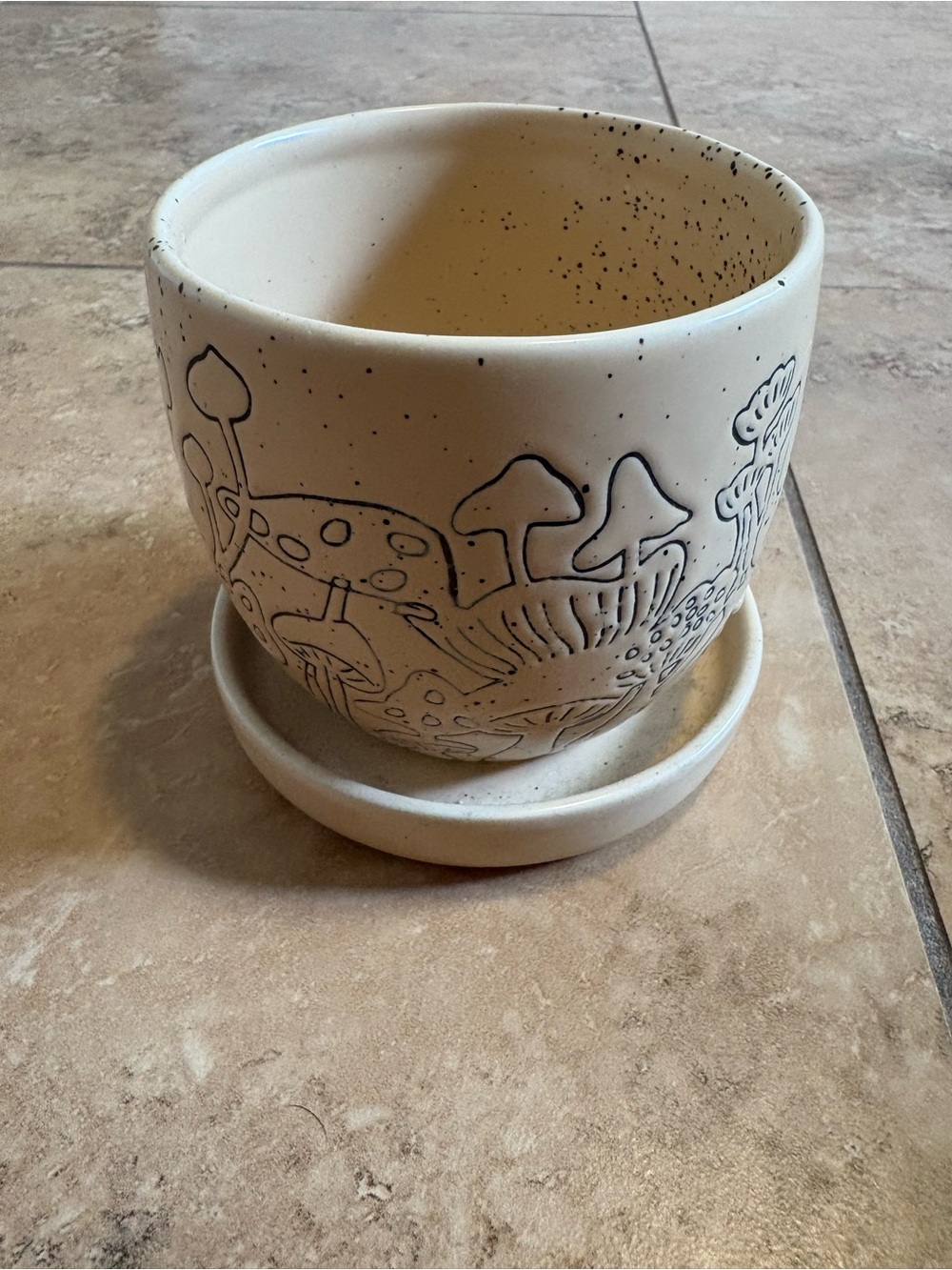 Urban Outfitters Ceramic Planter with Mushroom Illustration